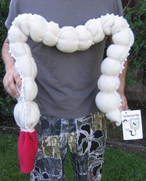Colon Pal